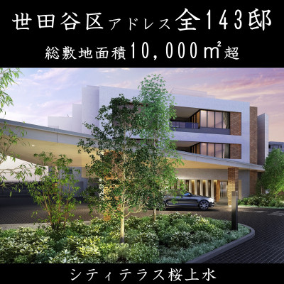 シティテラス桜上水