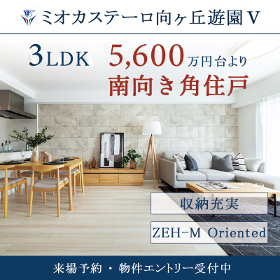 ミオカステーロ向ヶ丘遊園V