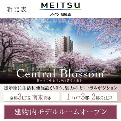 メイツ相模原