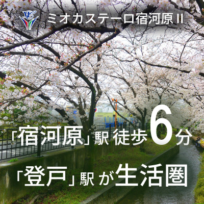 ミオカステーロ宿河原II